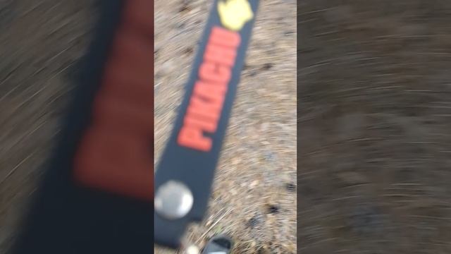 Видео из леса 1