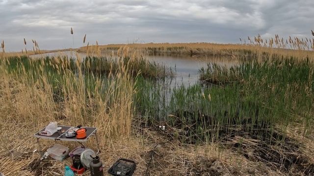 Сазанлар маконига саёхат. 3-кисм. 2022 йил, май ойи.