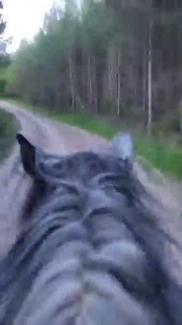 #словасосмыслом