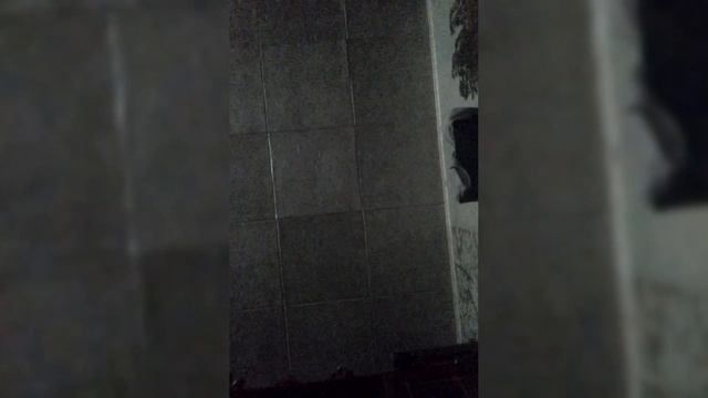 5 подписчиков