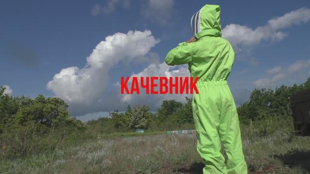 Увеличение пасеки за счет Роения! Естественное размножение пчел