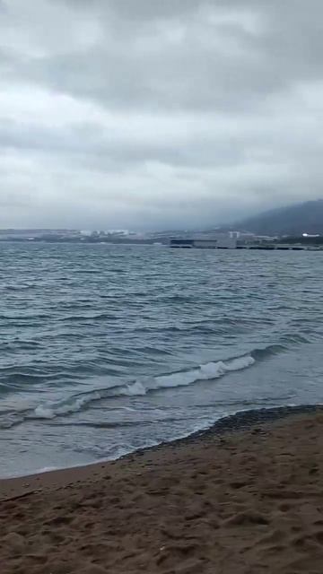 В конце января в Геленджике, пляж дельфин. Чайки и утки.