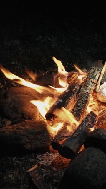 Camping in the Forest - No Shelter (ASMR) #4 #shorts