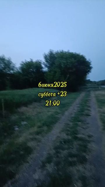 06-06-2025