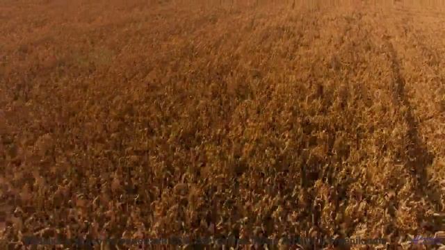 Ты НЕ ДОГАДАЕШЬСЯ, где это снято! - Symphony No. 1 IV. Hope -- Steve Combs -- Symphony No. 1