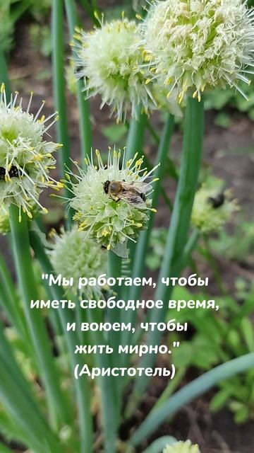 Зачем мы работаем?