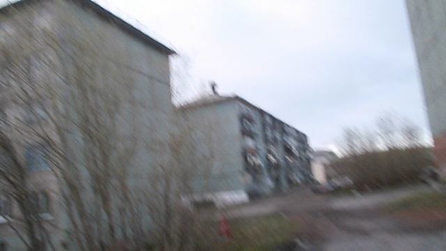 Прогулка 13 06 2025 3