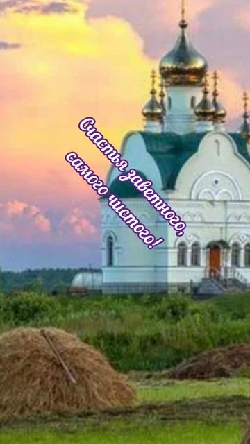 Доброго утра!Счастливого дня!💐#доброеутро# лето#shorts