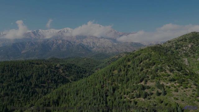 Леса дышат, когда играет эта потрясающая мелодия - Wild-Rivers -- Ketsa -- The Lost Files