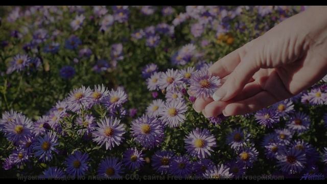 Почему эти кадры ПОД ЗАПРЕТОМ - 07 Always-Bright -- Ketsa -- Spiral Forecast