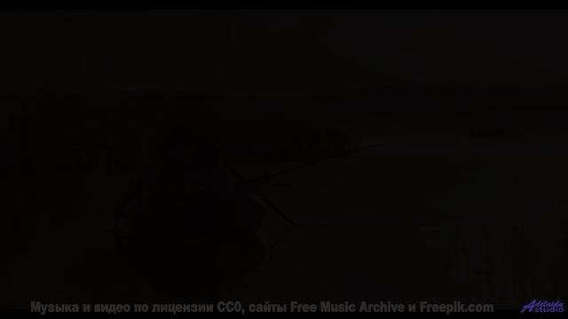Самые завораживающие виды под хит года - and stain you -- los pilotos -- nurse of being