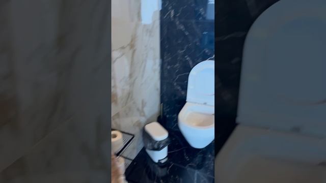 1000152203.mp4