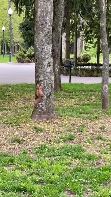 VID_20250613_142514_269.mp4