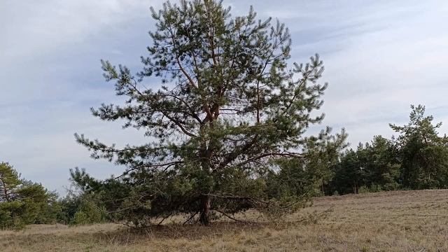 Знаки Зодиака, которых ждёт удача в мае 2025. Что нужно у?