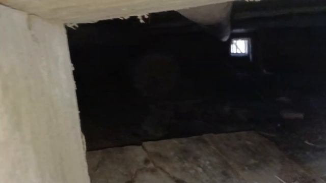 Поиск монет и старины с                     металлодетектором.