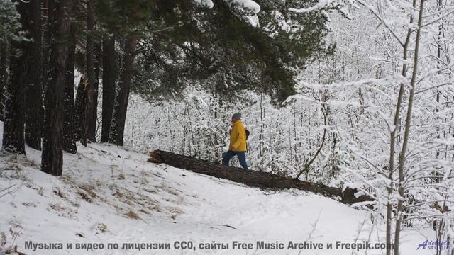 Музыка, которая превращает пейзажи в волшебство! - Point-Pleasant-inst -- Shaolin Dub -- Macro Micro