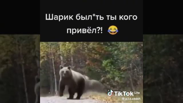 1000007771.mp4