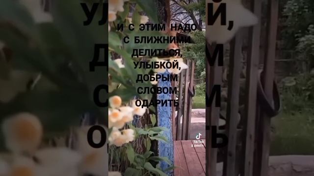 РОДНОЕ ТЕПЛО