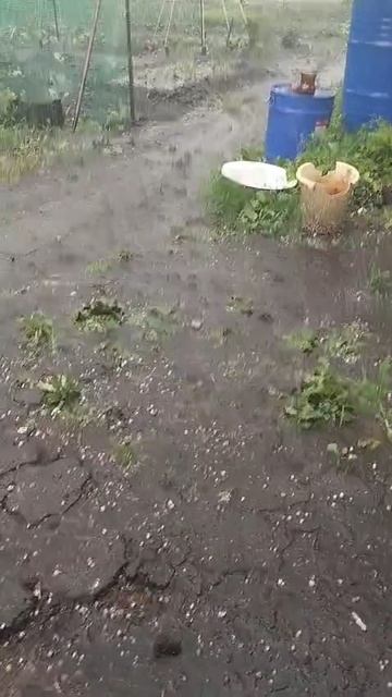 Омск после жары