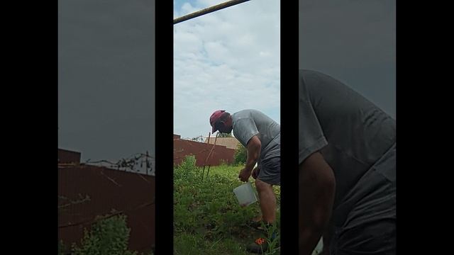 1000022908.mp4