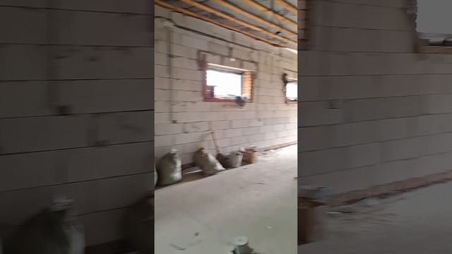 1000117655.mp4