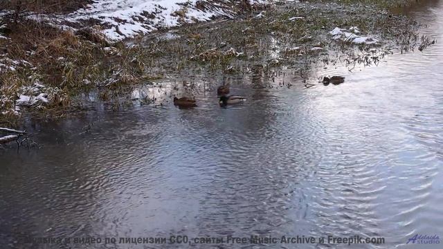 Пейзажи качают сердце, как волны качают море - Pastures -- Ketsa -- As Above So Below