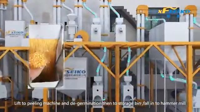 1000002374.mp4