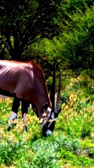 Камера засняла уникальный момент