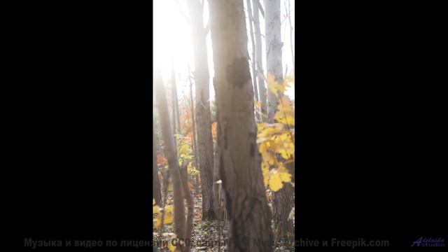 Океан, песок и музыка, которая звучит как биение двух сердец! - Creative Writing -- Chad Crouch -- M