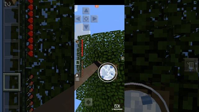 1000014402.mp4