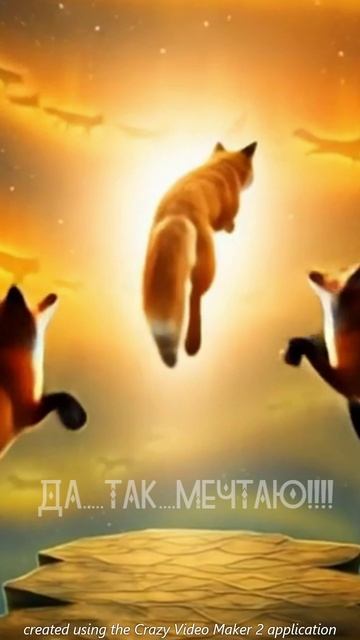 ты как здесь??? да... так... мечтаю 💫💫💫💫💫💫💫💫💫💫