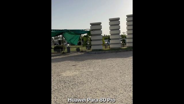 Honor 400 Pro Vs Huawei Pura 80 Pro - сравнение камер в реальной жизни