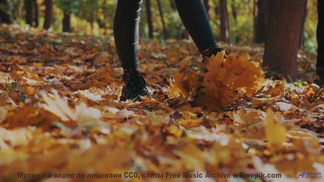 Мелодии, которые превращают обычную поездку в свидание с миром - Pop Goes the Mullberry Bush -- New