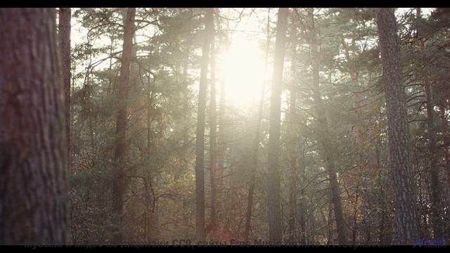 Поля стелются мягче под такой мощной музыкой - Gimme All I Want -- Anthem of Rain -- Unnamed album