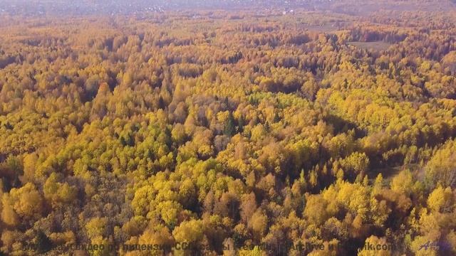 Пейзажи звучат громче любого оркестра с этим треком - I Wont Let You Down -- Derek Clegg -- The Best