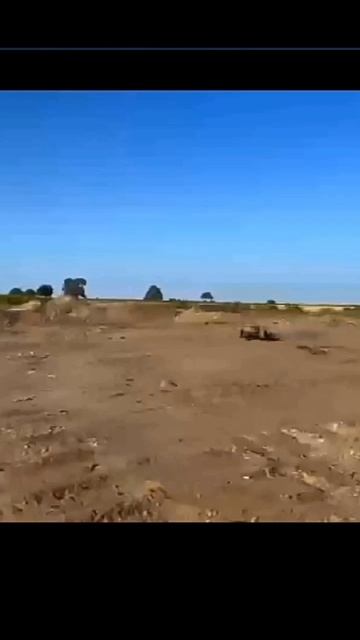 Монстр трак покатушки