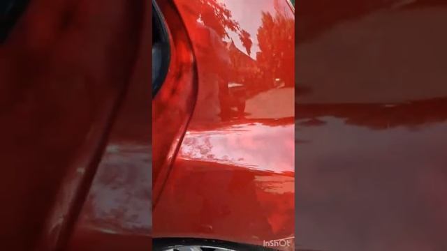 1000083205.mp4