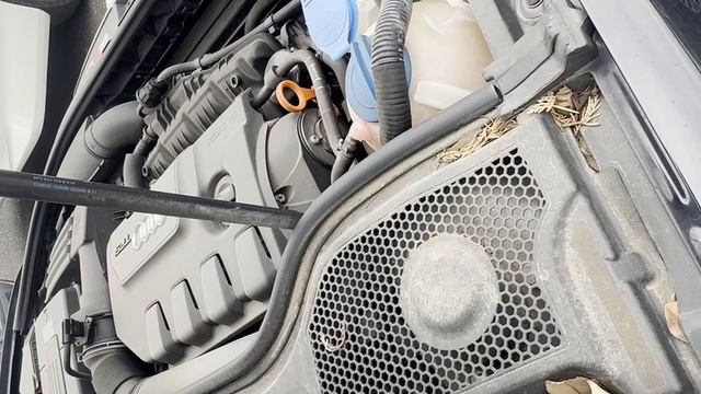 share 8PCDA-WAUZZZ8P89A069011