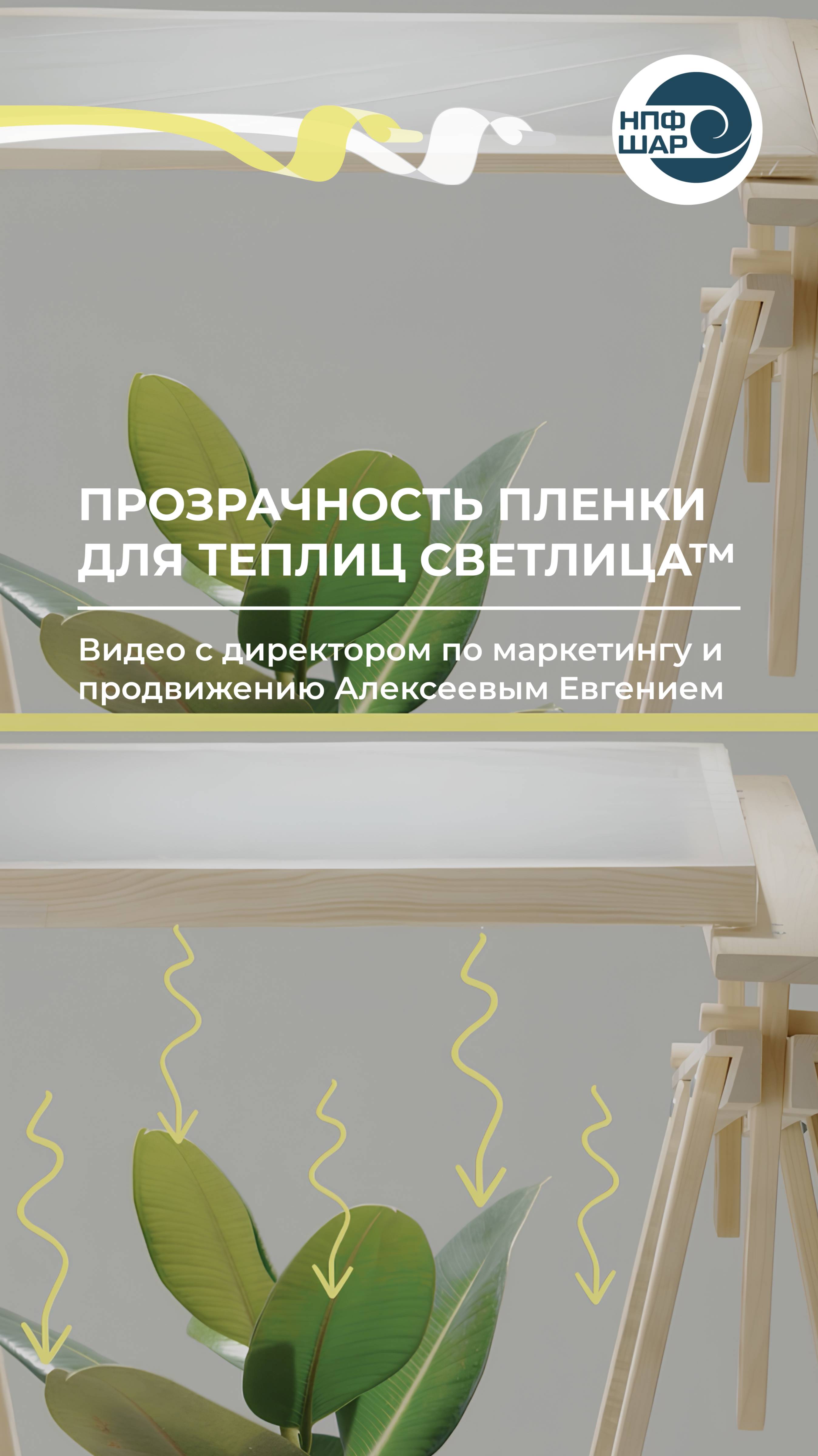 Как прозрачность плёнки СВЕТЛИЦА™ влияет на растения? 🌱
