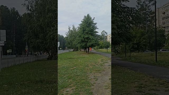 🙋 Он теперь напарница. Перед работой болтаю.