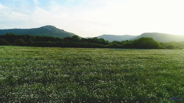 Этот трек под эти леса запомнится навсегда - Boppin-til-Bed -- Ketsa -- Summer With Sound