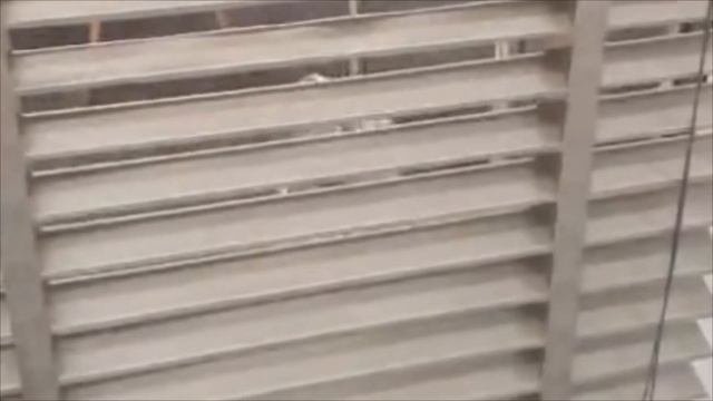 Горизонтальные жалюзи из ткани