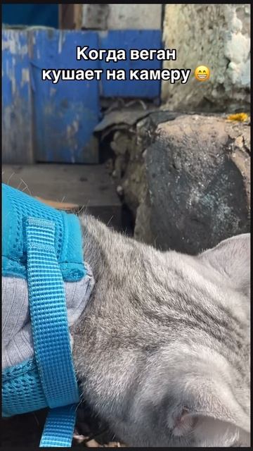 13-06-2025
