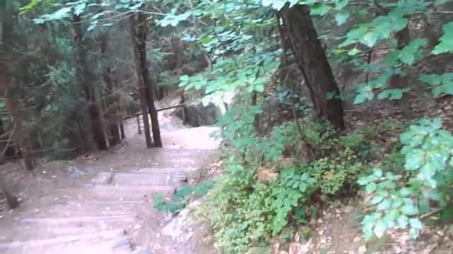 Лестница на вершину