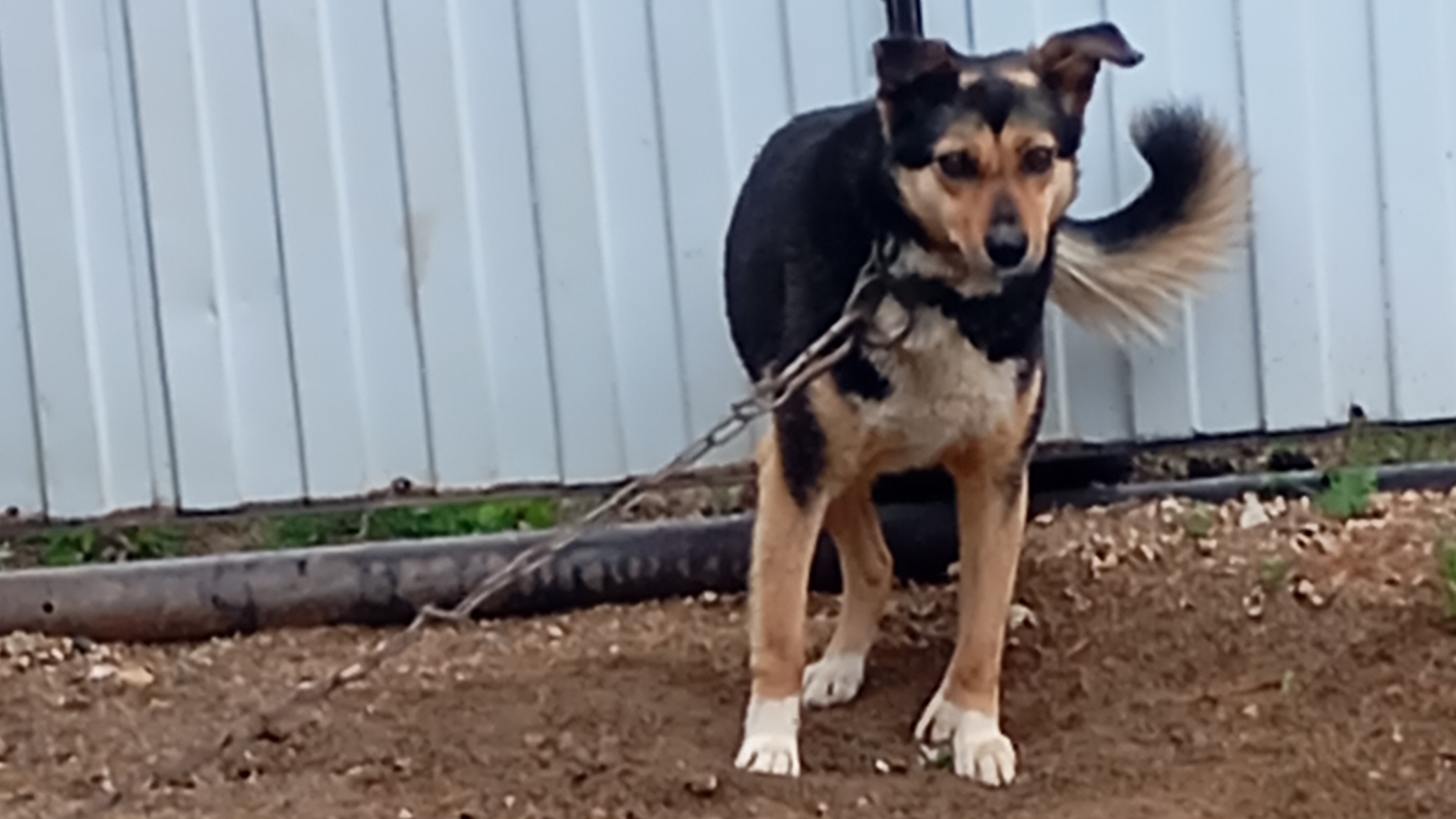 🏴🏴🏴🏴🏴🏴🏴🏴