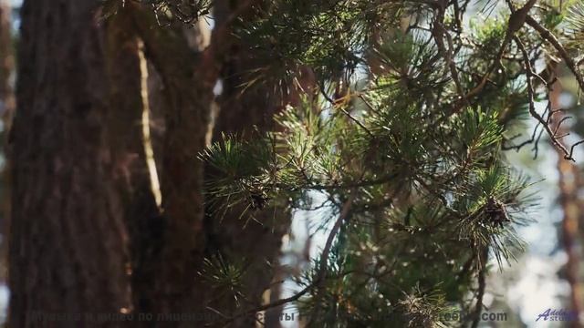 Скорость, адреналин и звуки, от которых сжимаются кулаки! - No Brainer -- Kirk Osamayo -- Season Two