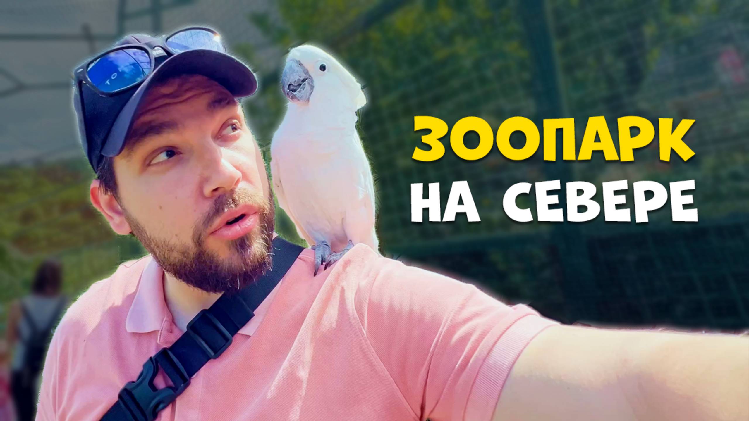 КАК Я НАШЕЛ себе нового ДРУГА в Овьедо (Испания) / Нападение  обезьяны | ВЛОГ