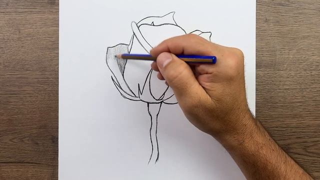 Как нарисовать легкую розу - Пошаговое руководство по рисованию карандашом