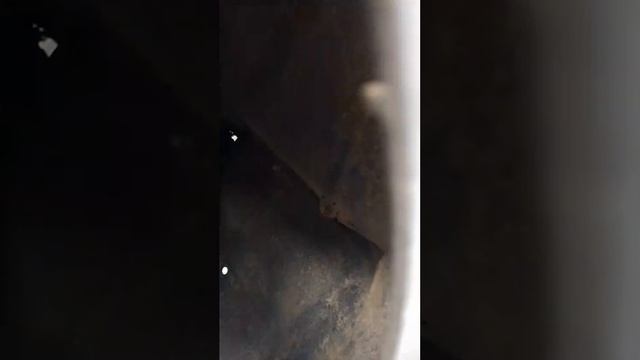 5371.mp4
