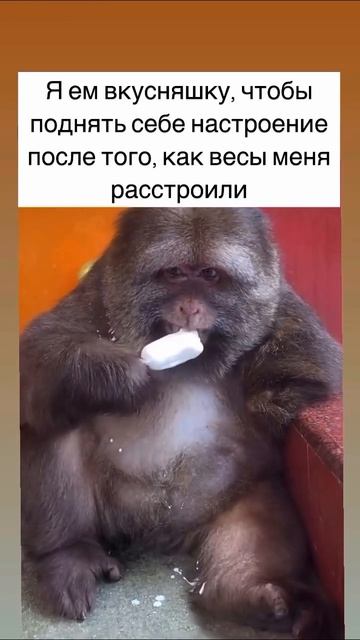 Не становишься на весы - счастливый человек